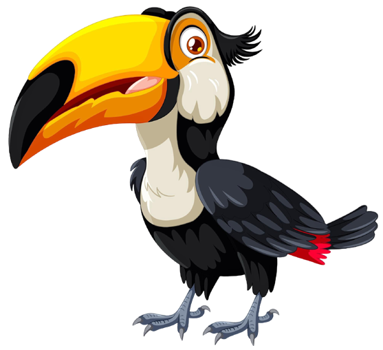 tucan bird icon
